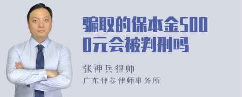 骗取的保本金5000元会被判刑吗