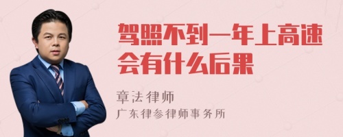 驾照不到一年上高速会有什么后果