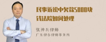 民事诉讼中欠款5000块钱法院如何处理