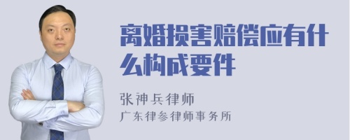 离婚损害赔偿应有什么构成要件