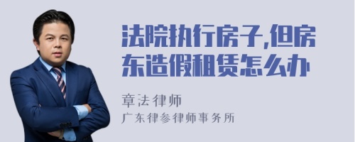 法院执行房子,但房东造假租赁怎么办