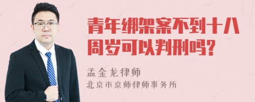 青年绑架案不到十八周岁可以判刑吗?