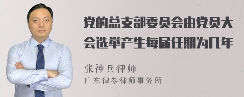 党的总支部委员会由党员大会选举产生每届任期为几年