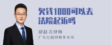 欠钱1000可以去法院起诉吗