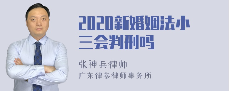 2020新婚姻法小三会判刑吗