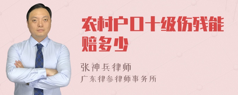 农村户口十级伤残能赔多少