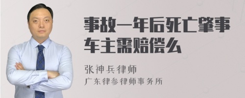 事故一年后死亡肇事车主需赔偿么