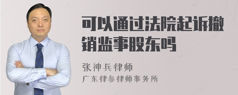 可以通过法院起诉撤销监事股东吗