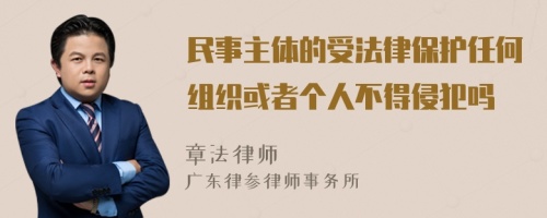 民事主体的受法律保护任何组织或者个人不得侵犯吗