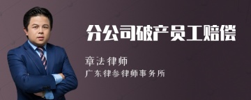 分公司破产员工赔偿