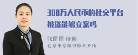 300万人民币的社交平台被盗能够立案吗