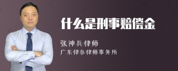 什么是刑事赔偿金