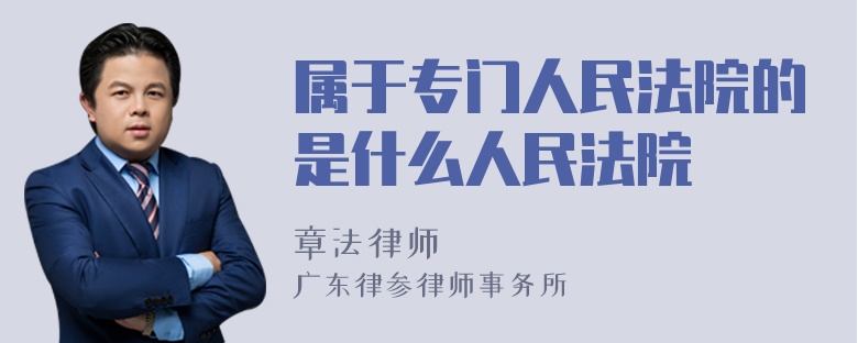 属于专门人民法院的是什么人民法院