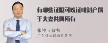 有哪些证据可以证明财产属于夫妻共同所有