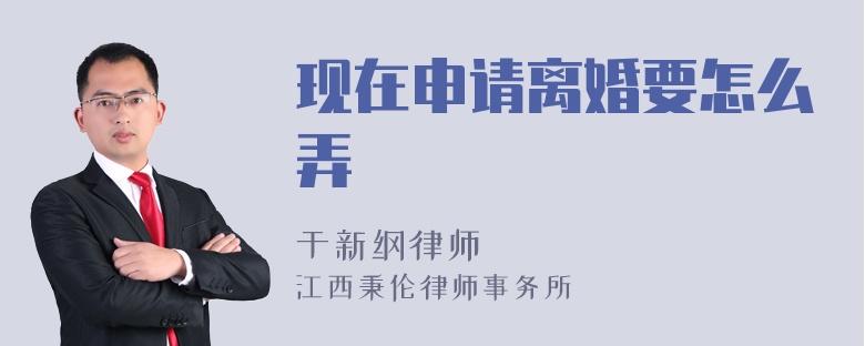 现在申请离婚要怎么弄