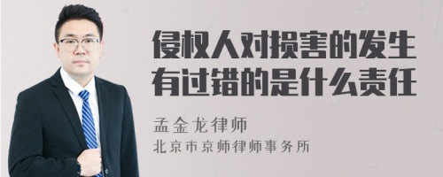 侵权人对损害的发生有过错的是什么责任