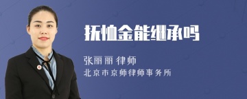 抚恤金能继承吗