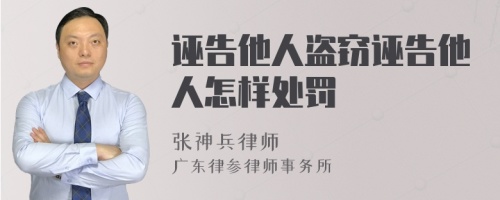 诬告他人盗窃诬告他人怎样处罚