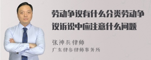 劳动争议有什么分类劳动争议诉讼中应注意什么问题