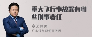 重大飞行事故罪有哪些刑事责任