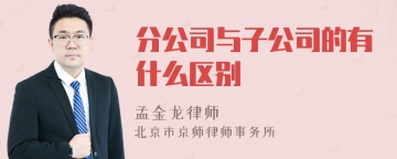 分公司与子公司的有什么区别