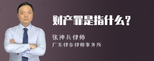 财产罪是指什么？