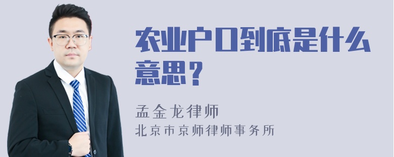 农业户口到底是什么意思？