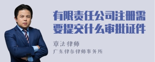 有限责任公司注册需要提交什么审批证件