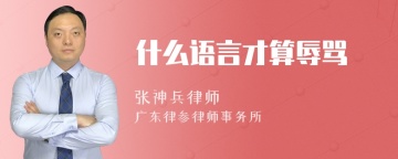 什么语言才算辱骂