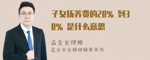 子女抚养费的20% 到30% 是什么意思