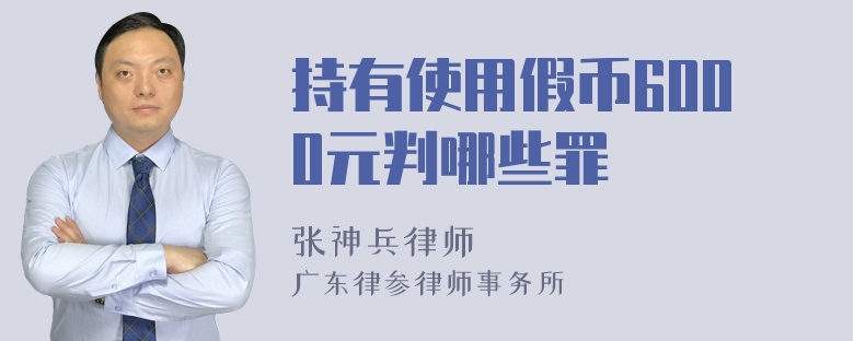 持有使用假币6000元判哪些罪