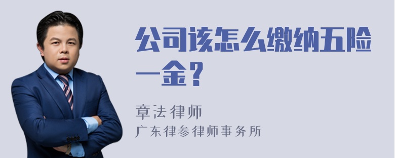 公司该怎么缴纳五险一金？