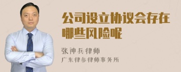 公司设立协议会存在哪些风险呢