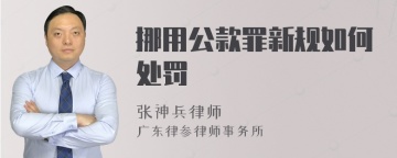 挪用公款罪新规如何处罚