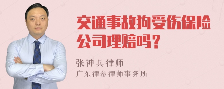 交通事故狗受伤保险公司理赔吗？