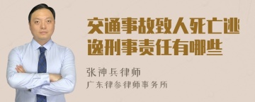 交通事故致人死亡逃逸刑事责任有哪些