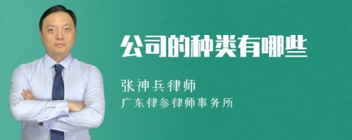 公司的种类有哪些