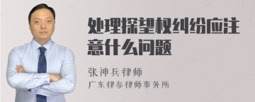 处理探望权纠纷应注意什么问题