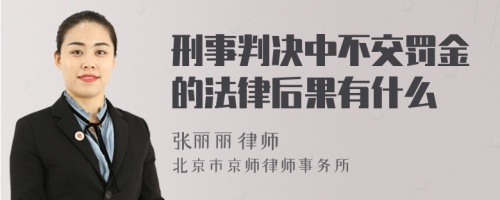 刑事判决中不交罚金的法律后果有什么