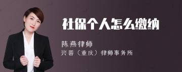 社保个人怎么缴纳