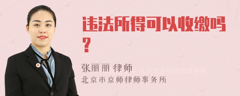 违法所得可以收缴吗?