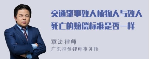 交通肇事致人植物人与致人死亡的赔偿标准是否一样