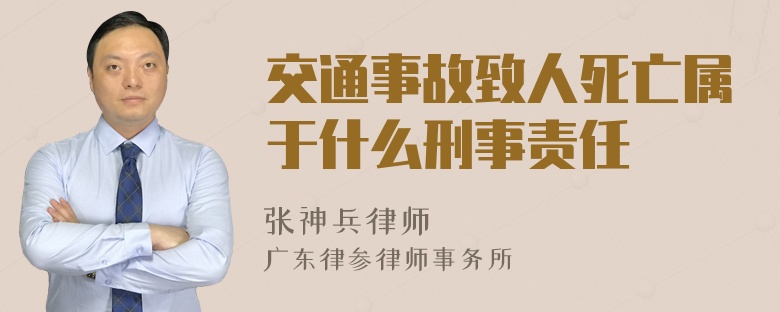 交通事故致人死亡属于什么刑事责任