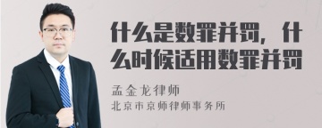 什么是数罪并罚，什么时候适用数罪并罚