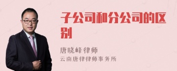 子公司和分公司的区别