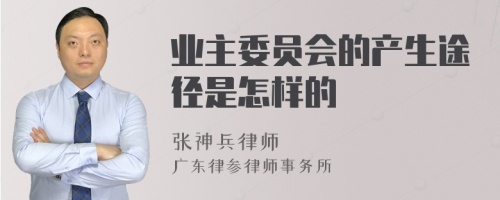 业主委员会的产生途径是怎样的