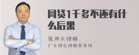 网贷1千多不还有什么后果