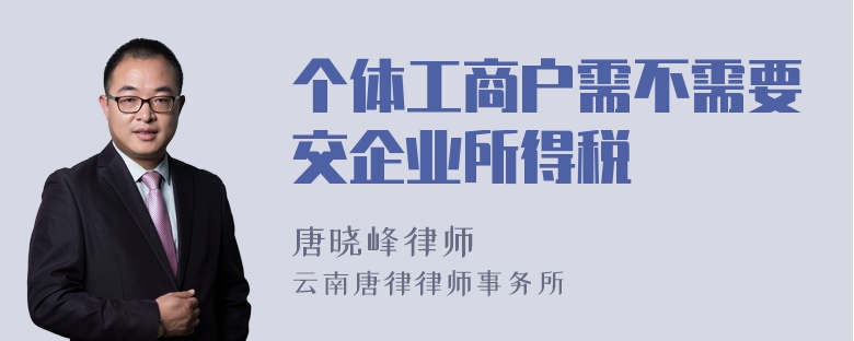 个体工商户需不需要交企业所得税