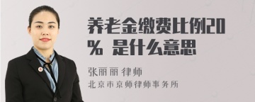 养老金缴费比例20% 是什么意思