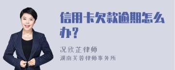 信用卡欠款逾期怎么办？